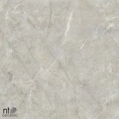 Керамогранит NT Ceramic Quanta Grey NTT9022 Матовый NS6NTT9022L 60х60 см