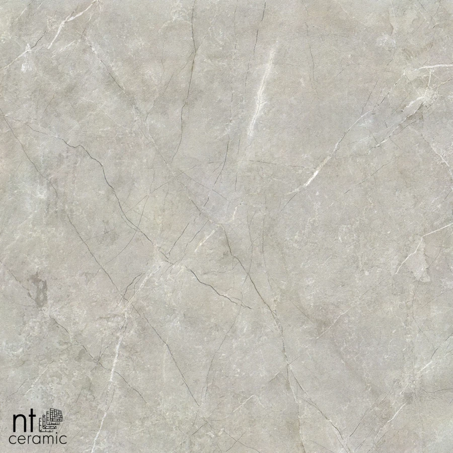 Керамогранит NT Ceramic Quanta Grey NTT9022 Матовый NS6NTT9022L 60х60 см