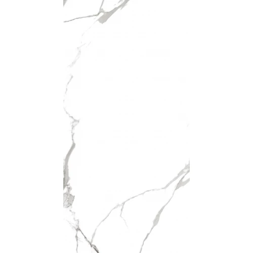 Керамогранит Maimoon Ceramica Maimoon Satuario bianco 120х60 см