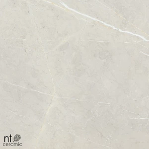 Керамогранит NT Ceramic Bright and Shiny NTT9101 Полированный BB6NTT9101P 60х60 см