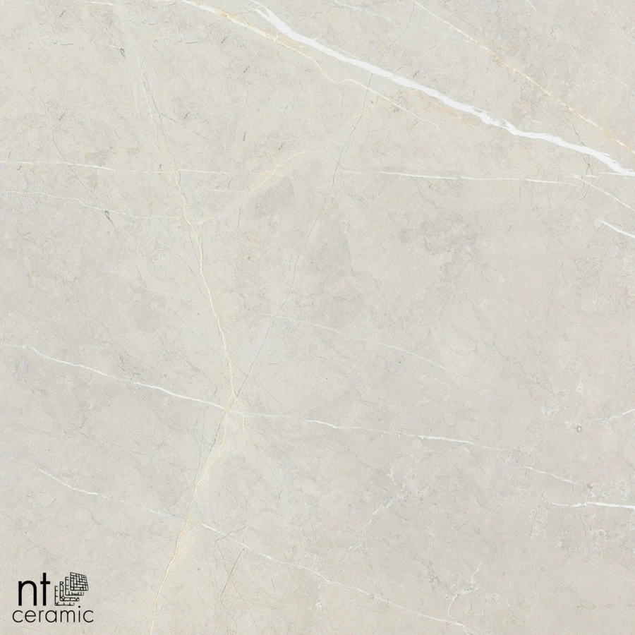 Керамогранит NT Ceramic Bright and Shiny NTT9101 Полированный BB6NTT9101P 60х60 см