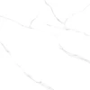 Керамогранит LCM Atlantic Marble полированный 6060AMR00P 60х60 см