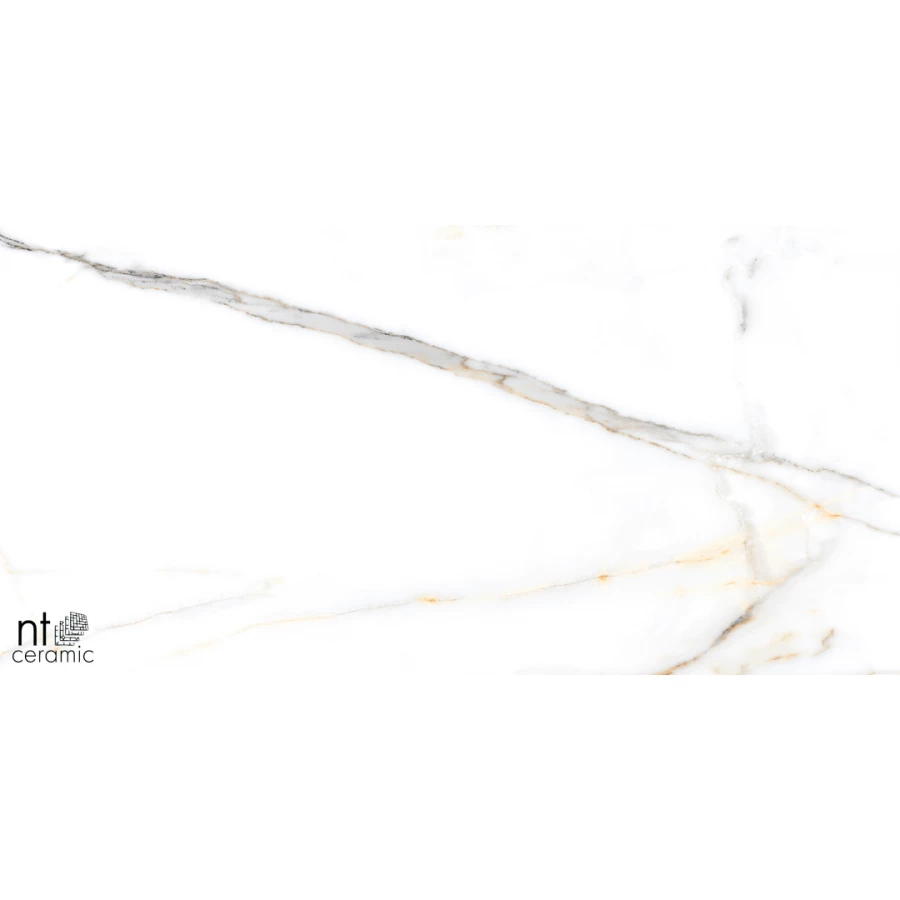 Керамогранит NT Ceramic Marmo Miami Natural Полированный NTT99500P 120х60 см
