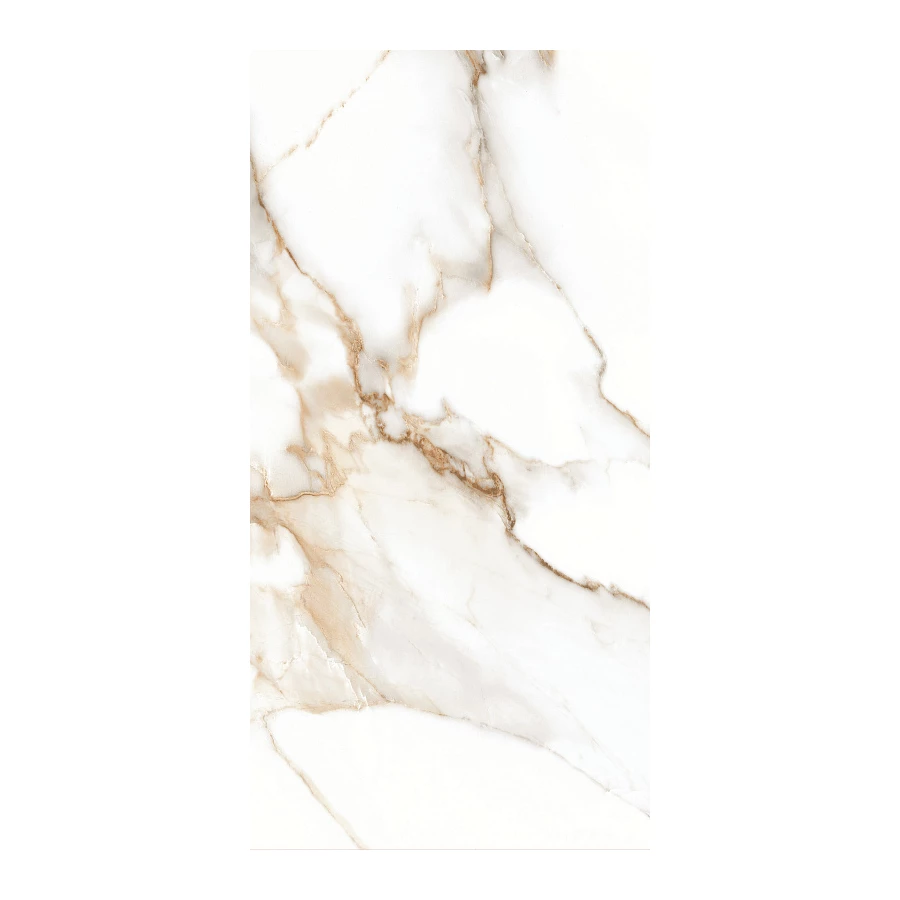 Керамогранит Stn ceramica P.E. Lumiere Natural Matt Rect 120х60 см