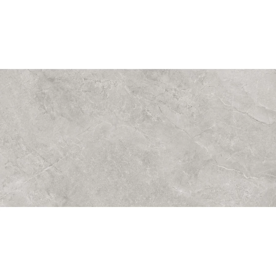 Керамогранит Laparet Pluto Silver светло-серый матовый SG50005220R 119,5х60 см