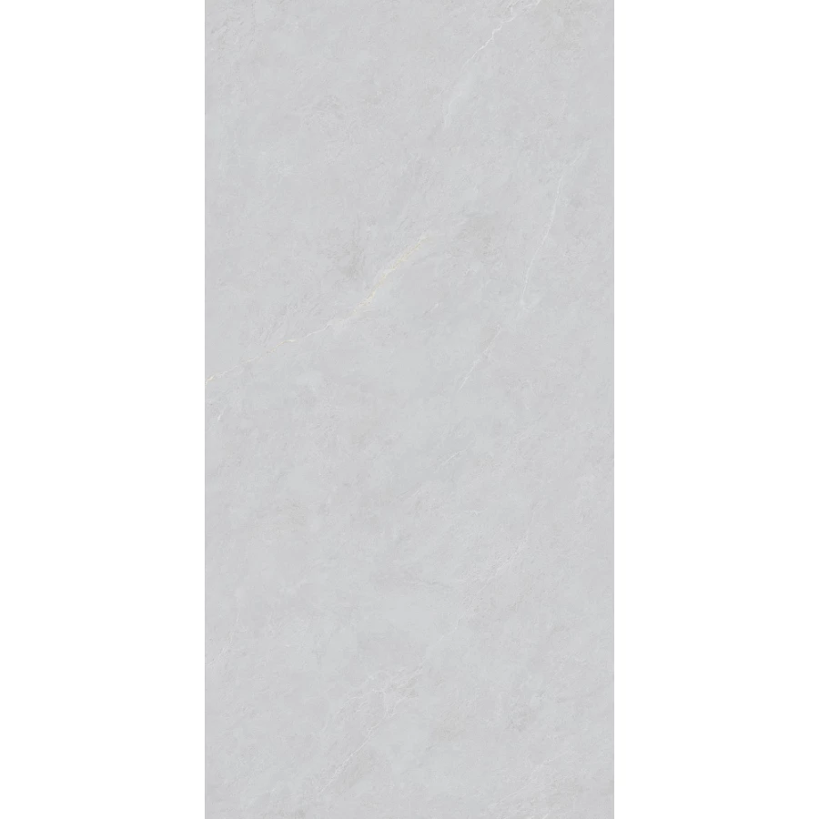 Керамогранит Basconi Home Cateye Light Grey grains soft-polished mould BHW-0023 120х60 см
