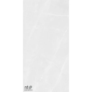 Керамогранит NT Ceramic Granite Limestone White Structura Матовый NTT99618M 120х60 см