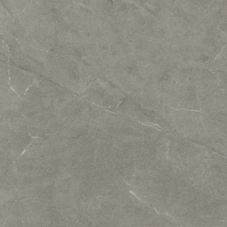 Керамогранит Living Ceramics Vonn Greige Anti-Slip матовый серый LV11002 120x120 см