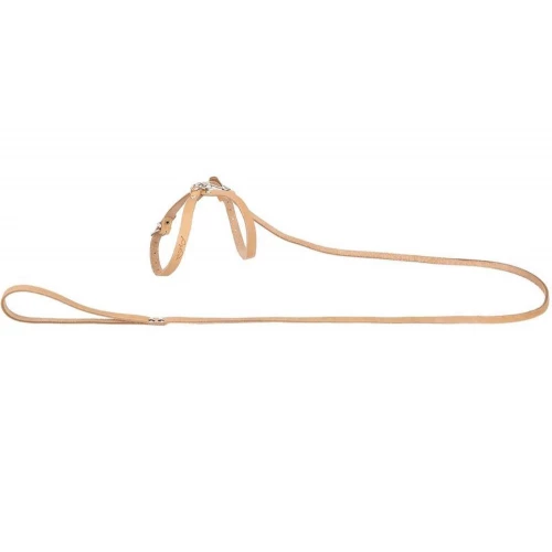 Комплект Аркон №2 шлейка + поводок для мелких собак к2