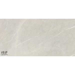 Керамогранит NT Ceramic Bright and Shiny NTT9101 Полированный BB612NTT9101P 120х60 см
