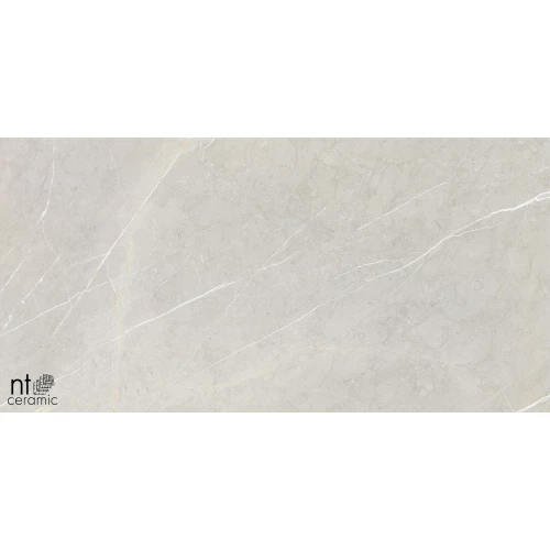 Керамогранит NT Ceramic Bright and Shiny NTT9101 Полированный BB612NTT9101P 120х60 см