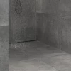 Бетоника Графит ПРО