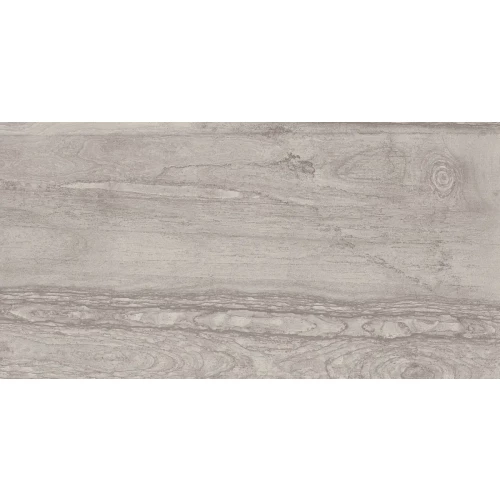 Керамогранит Lafaenza Radika RDKA 12G LP Grey блестящий серый 120x60 см