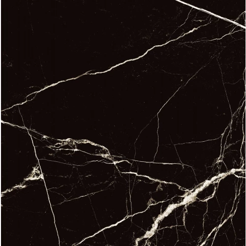 Керамогранит Arcadia Ceramica Black Spinder High Gloss чёрный HG2008-A 60х60 см