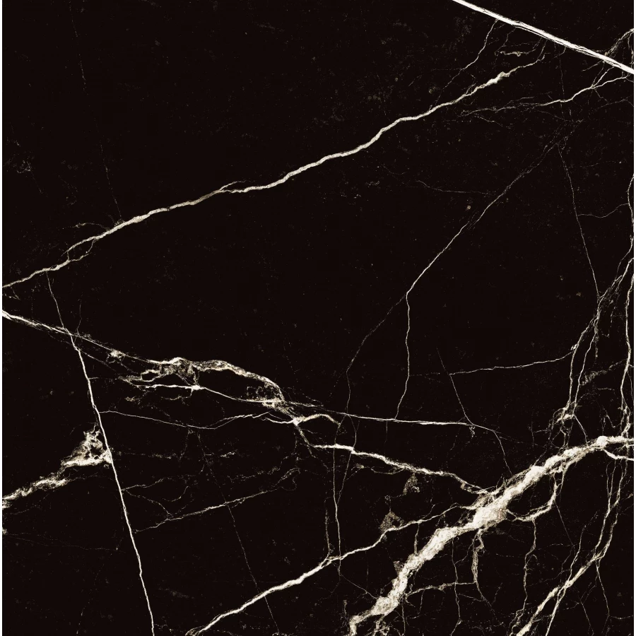 Керамогранит Arcadia Ceramica Black Spinder High Gloss чёрный HG2008-A 60х60 см