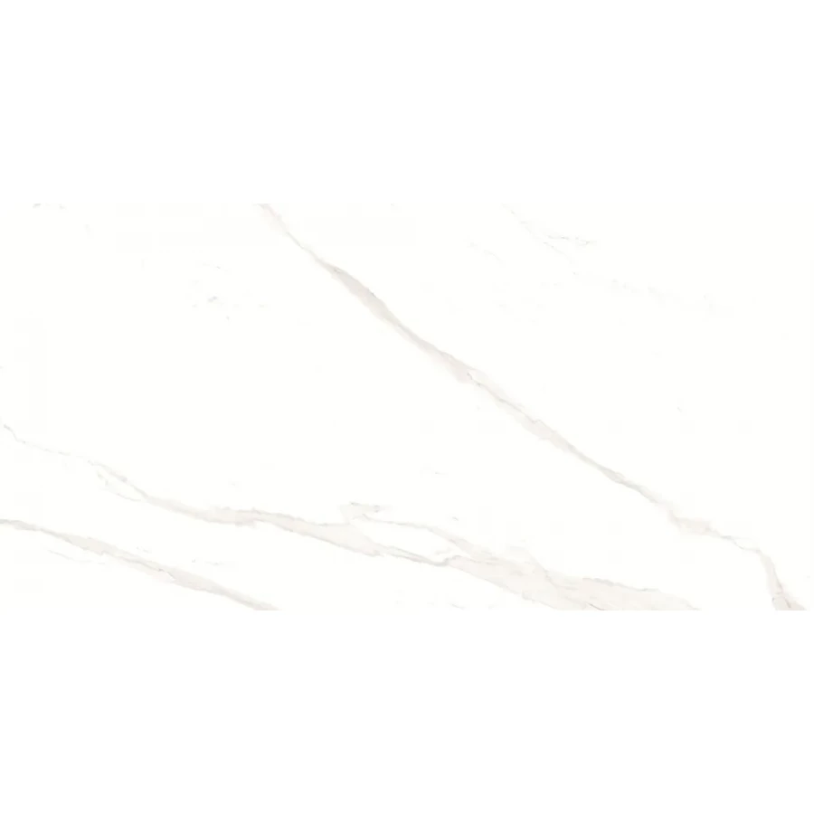 Керамогранит Duna Pushkar White Matt матовый белый RP-238582 120х60 см