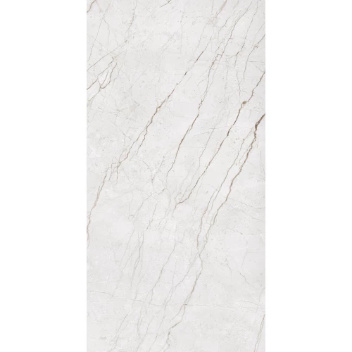 Керамогранит Arcadia Ceramica Meteria Silver Carving светло-серый CR4014-A 120х60 см