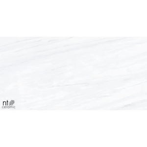 Керамогранит NT Ceramic Aurora NTT9801 Матовый AU612NTT9801M 120х60 см