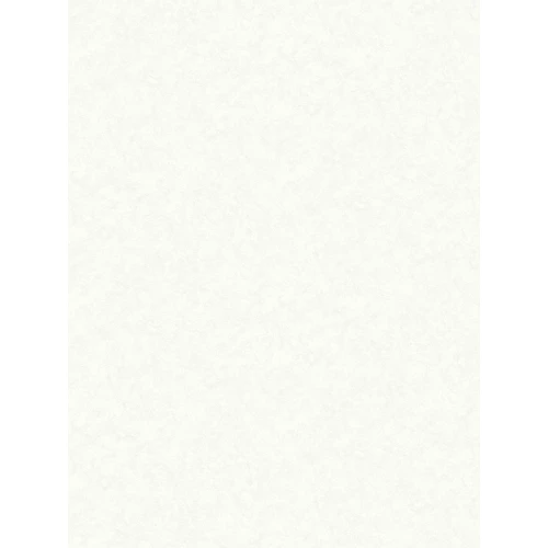 Обои флизелиновые Аспект Магна белые 70644-11 1,06х10,05 м