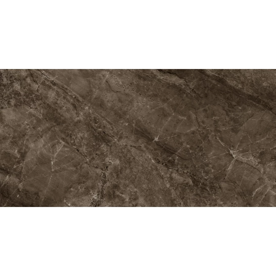 Керамогранит Eurotile Ceramica Carmina полированный коричневый 7930138705573 120x60 см