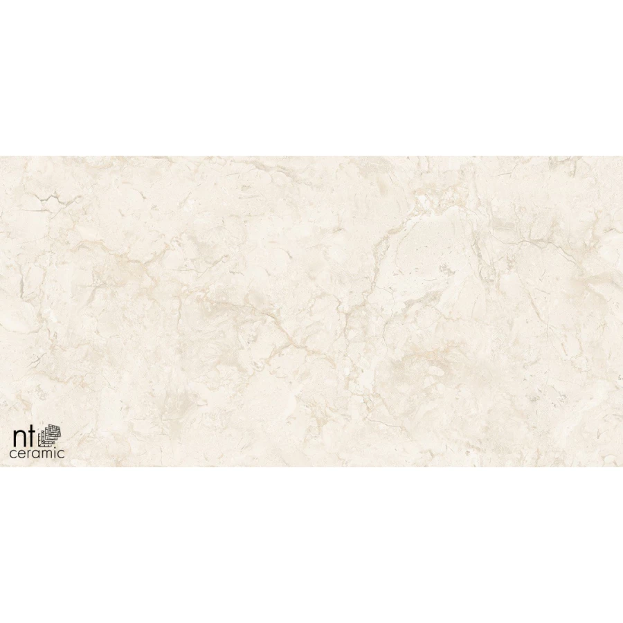 Керамогранит NT Ceramic Gravel Stone Almond Endless Карвинг NTT99523C 120х60 см