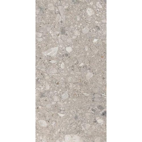 Керамогранит Ariana Ceramica Futura Cenere nat ret 0008674 280х120 см