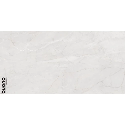 Керамогранит Buono Stones Pietra Bianco Carving белый S4433C 120х60 см