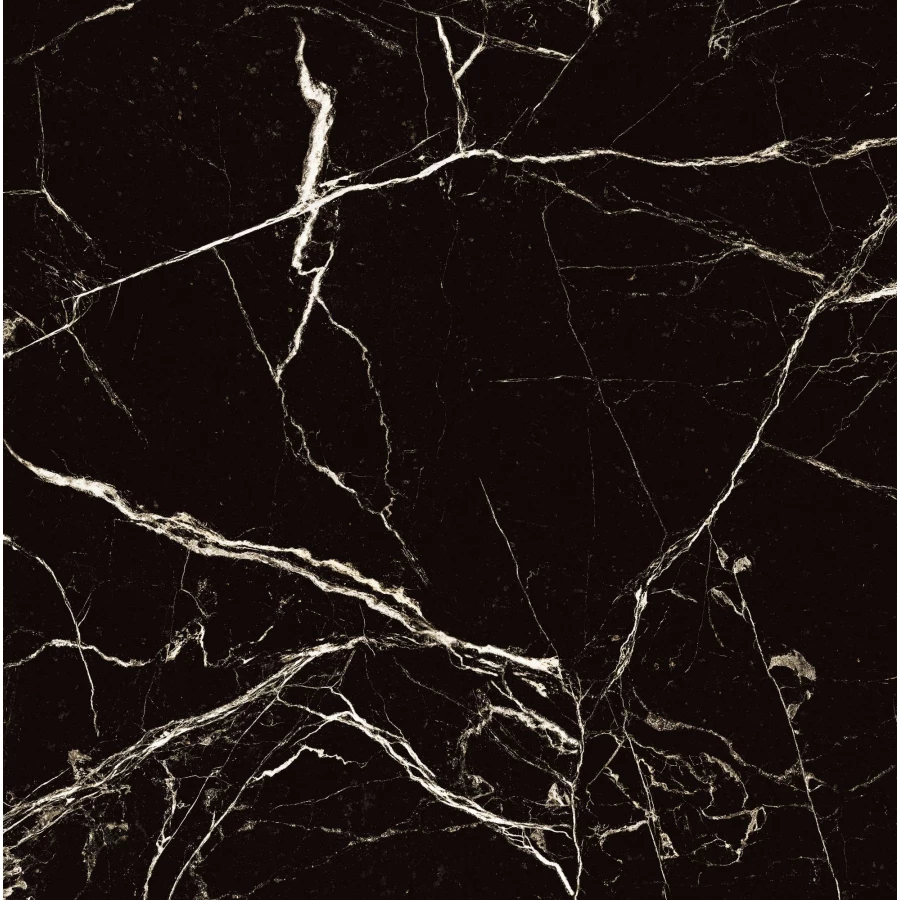 Керамогранит Arcadia Ceramica Black Spinder High Gloss чёрный HG2008-A 60х60 см