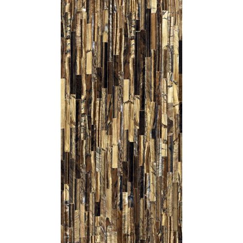 Керамогранит Roberto Cavalli The Wild Spirit Tiger Gold LX 0502013 119,2х59,6 см