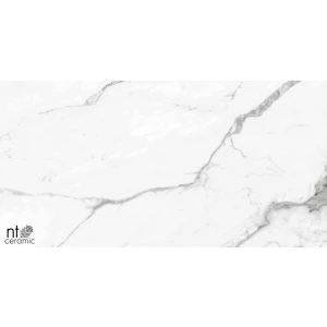 Керамогранит NT Ceramic Bright and Shiny NTT9100 Полированный BB612NTT9100P 120х60 см
