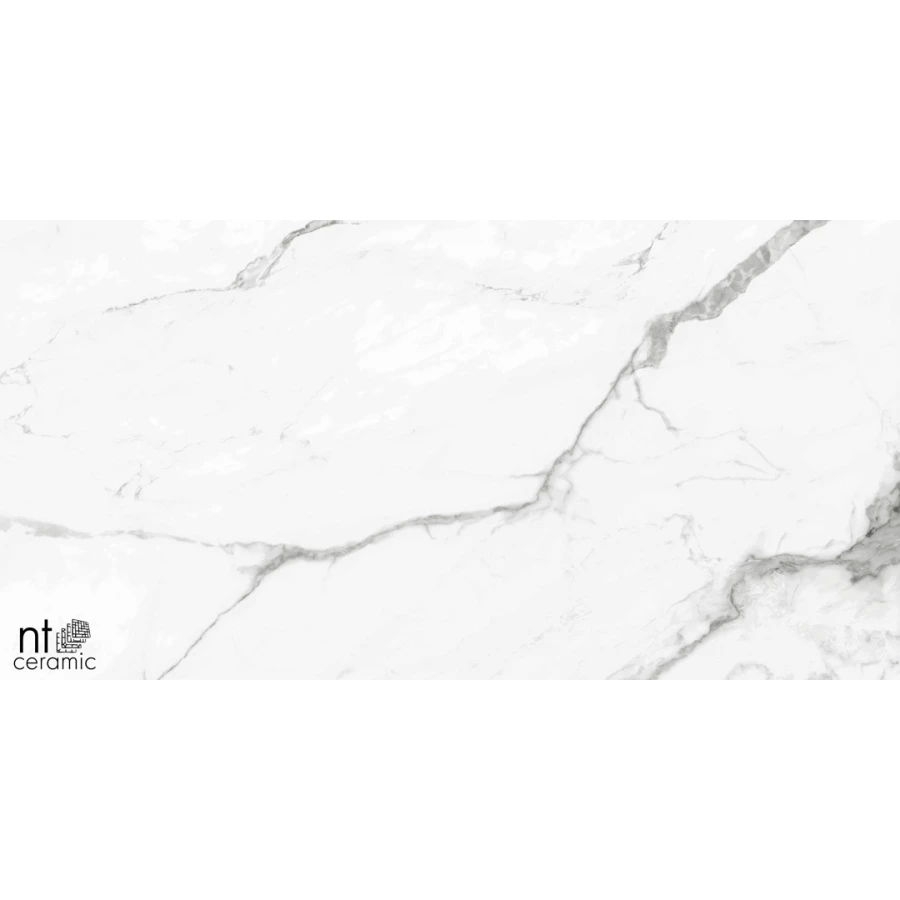 Керамогранит NT Ceramic Bright and Shiny NTT9100 Полированный BB612NTT9100P 120х60 см