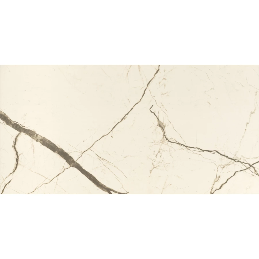 Керамогранит Absolut Gres Wonicy White Gloss AB 1054G 120x60 см