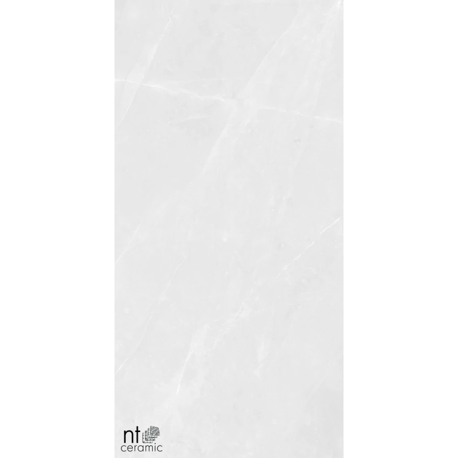 Керамогранит NT Ceramic Granite Limestone White Structura Матовый NTT99618M 120х60 см