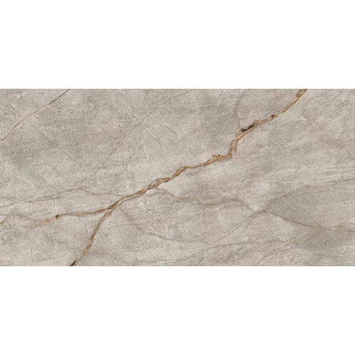 Керамогранит Atlas Concorde Эмпаир Сильвер Рут 610010002187 120х60 см