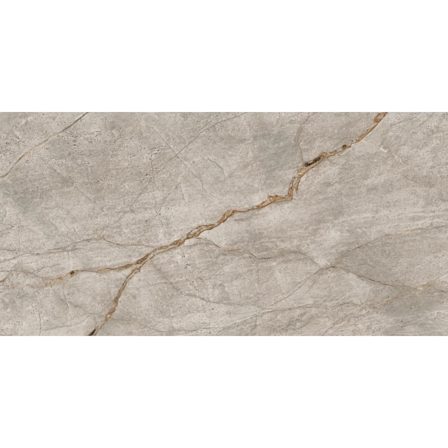 Керамогранит Atlas Concorde Эмпаир Сильвер Рут 610010002187 120х60 см