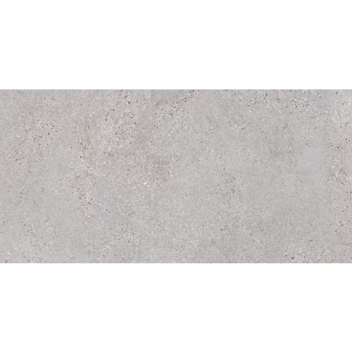 Керамогранит Lasselsberger Ceramics Трэверс светло серый 6260-0191 60х30 см