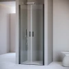Душевая дверь RGW PA-104B 1000 060810410-14