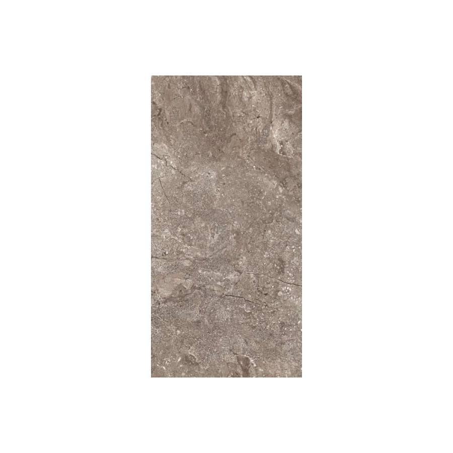 Керамогранит Leopard Leopard 60x120 Stone Grey Polished 6405 120х60 см