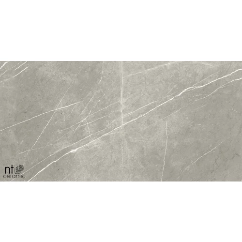 Керамогранит NT Ceramic Bright and Shiny NTT9102 Полированный BB612NTT9102P 120х60 см