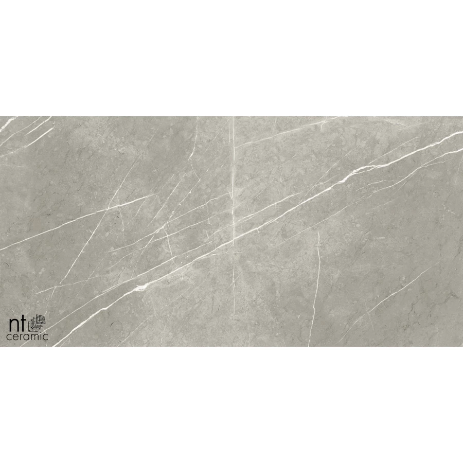 Керамогранит NT Ceramic Bright and Shiny NTT9102 Полированный BB612NTT9102P 120х60 см