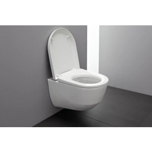 Унитаз подвесной Laufen Pro New Rimless 8.2096.6.000.000.1