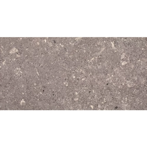 Плитка настенная Paradyz Aragorn Grys 60х30 см