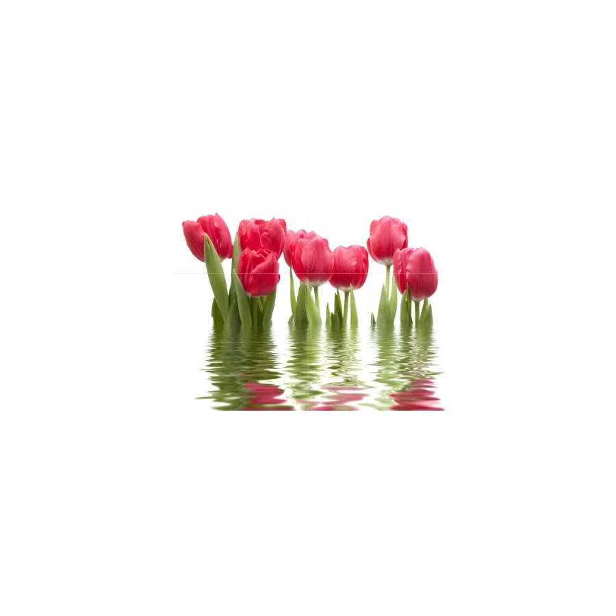 Панно Нефрит-Керамика Тюльпаны светлое 06-01-1-64-04-21-160-0 75х100