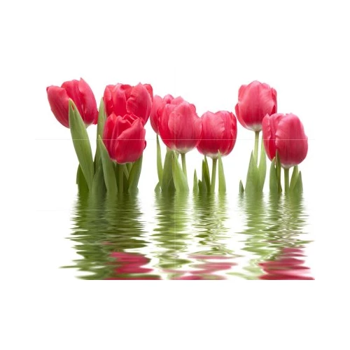 Панно Нефрит-Керамика Тюльпаны светлое 06-01-1-64-04-21-160-0 75х100