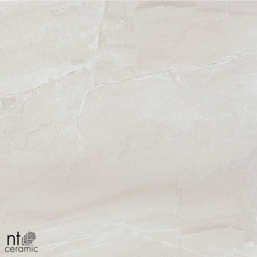 Керамогранит NT Ceramic Zeus NTT9702 Матовый ZS6NTT9702M 60х60 см