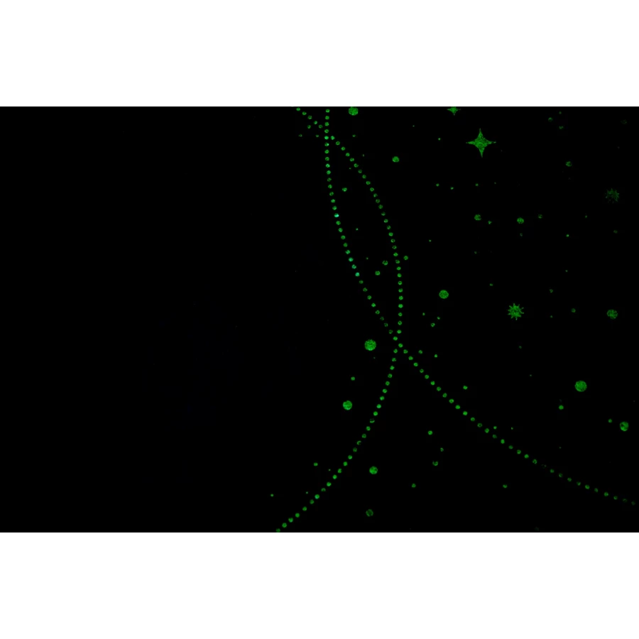 Обои флизелиновые Palitra Home Universe черные HC72367-44 1,06х10,05 м