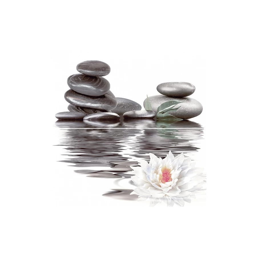 Панно Нефрит-Керамика Фреш Лотос черный 06-01-1-23-04-04-332-0 50х50