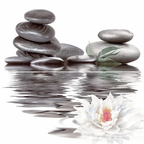 Панно Нефрит-Керамика Фреш Лотос черный 06-01-1-23-04-04-332-0 50х50