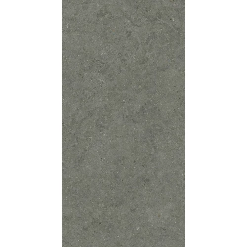 Керамогранит Italon Форум Стоун Айрон матовый серый 610010004169 120х60 см