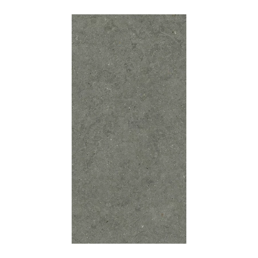 Керамогранит Italon Форум Стоун Айрон матовый серый 610010004169 120х60 см